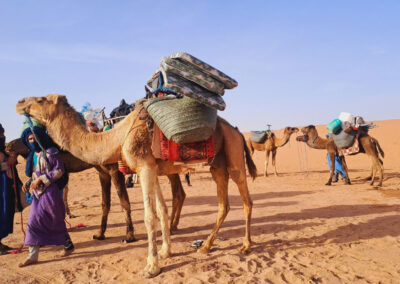 Trek dromadaire Dunes du Sahara