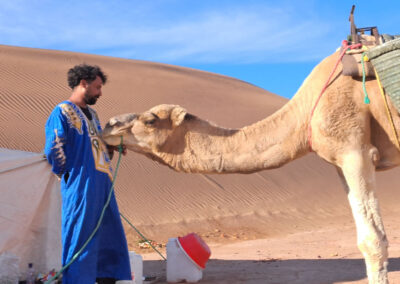 Trek dromadaire Dunes du Sahara