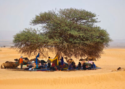 Trek Dunes du sahara Maroc Oasis