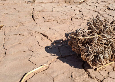 Maroc Trek Plateau Faija aux dunes du Sahara