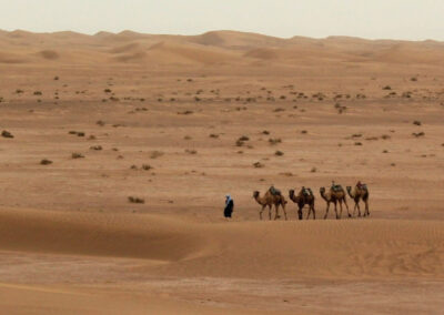 Parc d'Ikiri Maroc Trek
