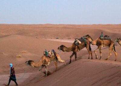 Trekking Parc d'Ikiri Maroc Trek