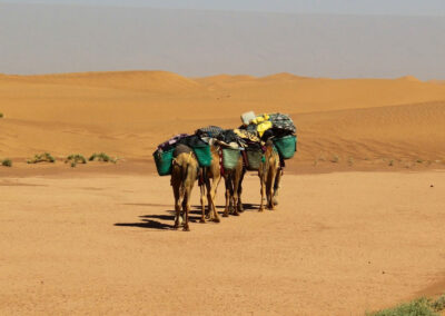 Trek désert Ikiri Maroc Trek