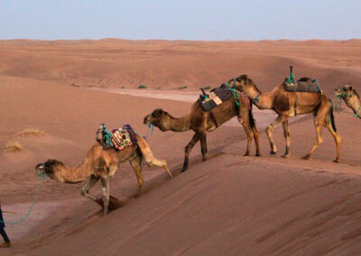 Trek Maroc Désert au milieu des dunes