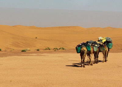 Trek Maroc Désert au milieu des dunes