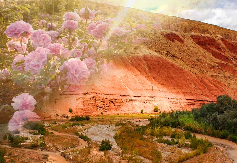 Randonnée dans la Vallée des Roses<br />
Trek Maroc Trek