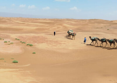 Trek Maroc Désert au milieu des dunes