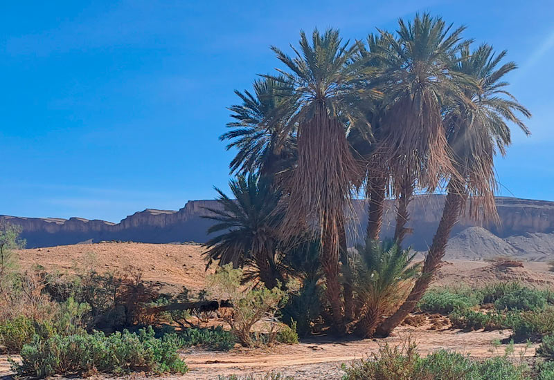 Trek randonnée parc national d'Ikiri<br />
Maroc Trek