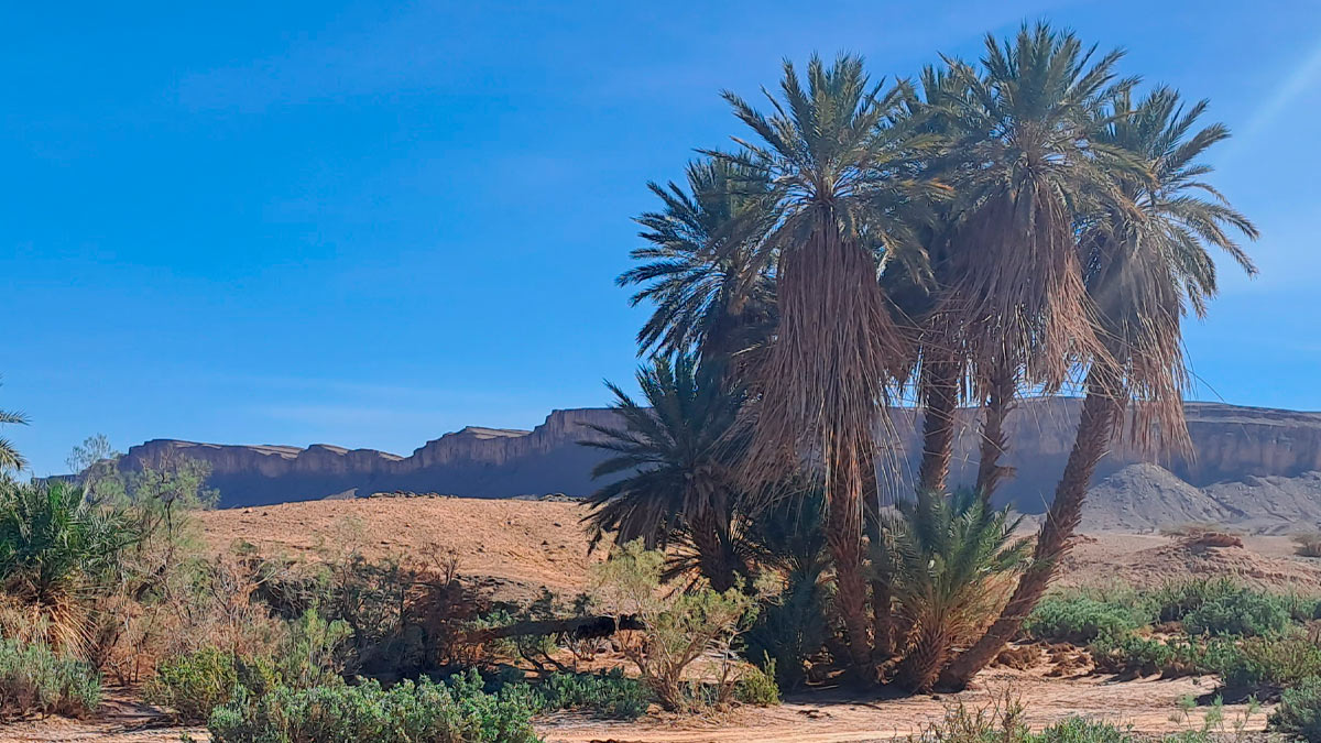 Trek Randonnée Parc National d'Ikiri<br />
Maroc Trek