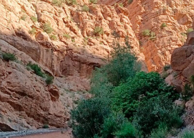 Randonnée La Vallée des Roses Maroc Trek