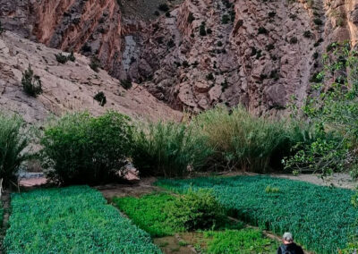 Randonnée La Vallée des Roses Maroc Trek
