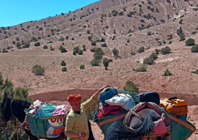 Randonnée La Vallée des Roses Maroc Trek
