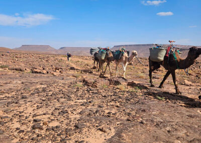 Trek plateau de Faija Maroc Trek