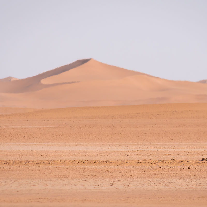 Dunes du désert dans le Parc National d'Iriki<br />
Maroc Trek